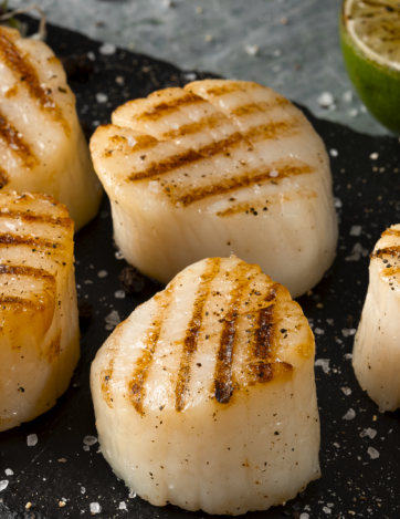 City_Pier_Sea_Scallops_Thumb_plated