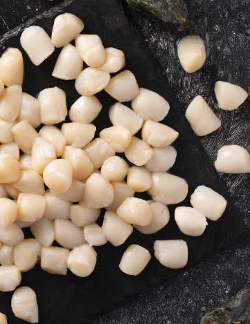raw-seafoods-tackle-box-photography-Bay_Scallops_Raw_Thumb